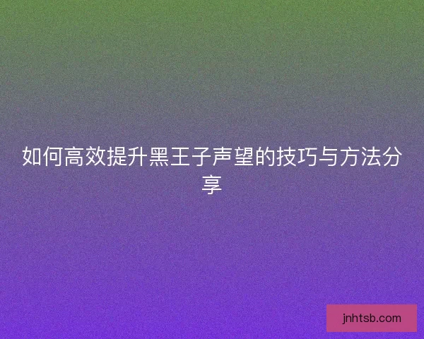 如何高效提升黑王子声望的技巧与方法分享