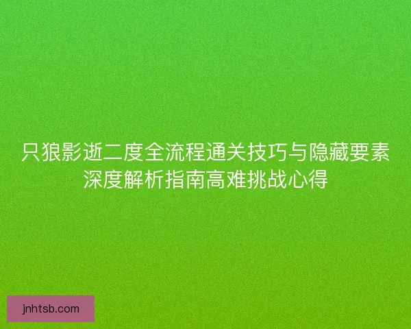 只狼影逝二度全流程通关技巧与隐藏要素深度解析指南高难挑战心得