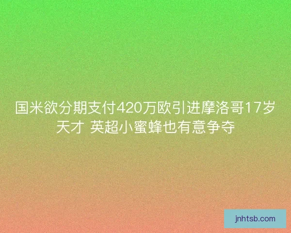 国米欲分期支付420万欧引进摩洛哥17岁天才 英超小蜜蜂也有意争夺